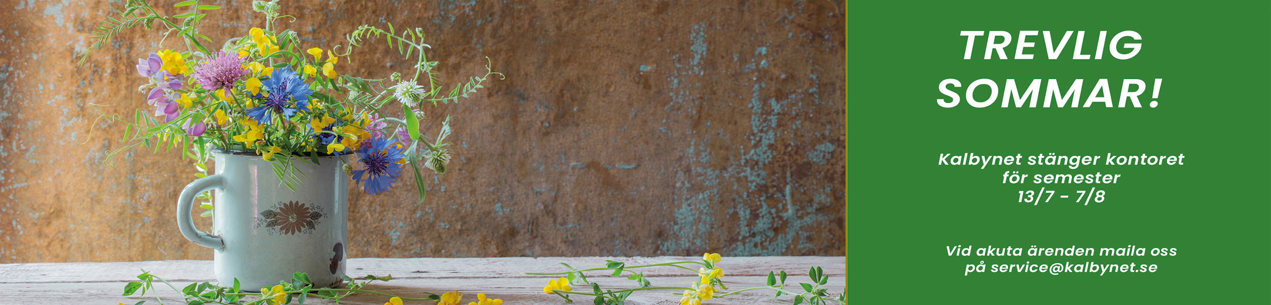 Sommarbanner 2500x600 webb